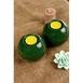  Carmen Soft 2'li Mumluk - Yeşil - 10x12 cm