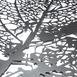  Artepera APT016 Autumn 3 Metal Tablo ( Siyah ) - 45x70 cm