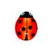  Vito Ladybug Led Gece Lambası Red 220V Eu.Plug