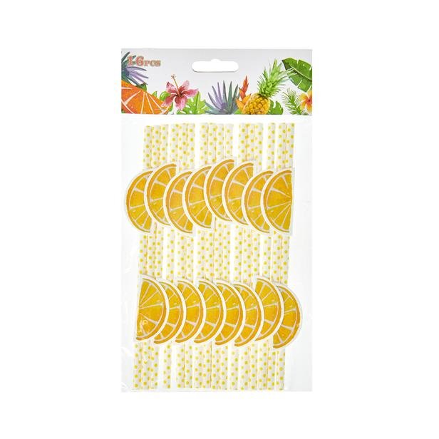  Excellent Houseware Fruit 16'lı Kağıt Pipet - Asorti
