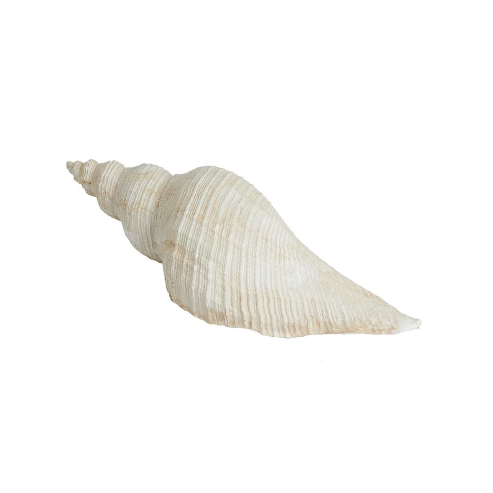  KPM Deniz Kabuğu Asorti 20,5 cm