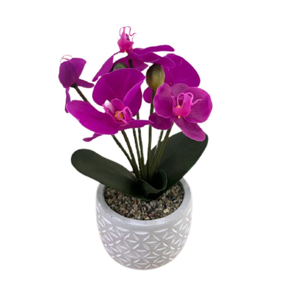 Objevi Soft Orkide - Mor