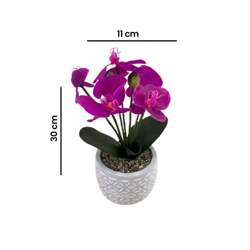  Objevi Soft Orkide - Mor