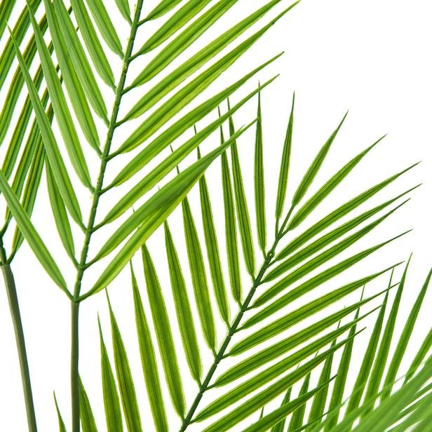  Objevi Dekoratif Palm Çiçeği - 80 cm
