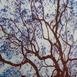  Q-Art Dekoratif Blue Ivy Kanvas Tablo - 90x60 cm