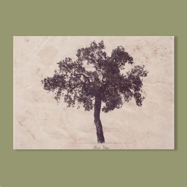  Q-Art Ağaç Kanvas Tablo - 50x70 cm
