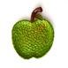  Q-Art Elio Dekoratif Elma Tabak - Yeşil - 11,5x15,5x2 cm