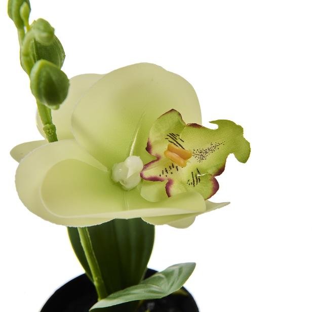  KPM Saksılı Yapay Orkide - Asorti - 13x10x25 cm