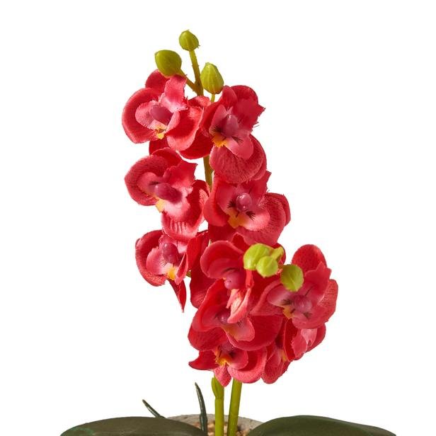  Objevi Beton Saksılı Dekoratif Orkide - Asorti - 25x7x9 cm