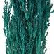  Evidea Deco Deniz Süpürgesi - Yeşil - 45x15 cm