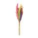  Evidea Deco Pampas Yapay Çiçek - Renkli - 90x20 cm