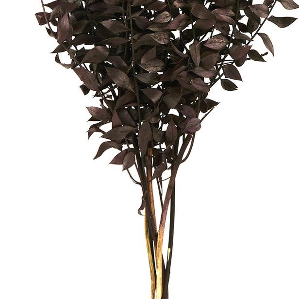  Evidea Deco Ruscus Yapay Çiçek - Kahverengi - 50x20 cm