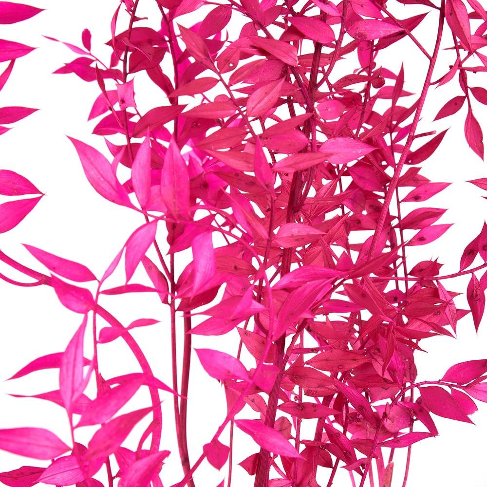  Evidea Deco Ruscus Yapay Çiçek - Fuşya - 50x20 cm