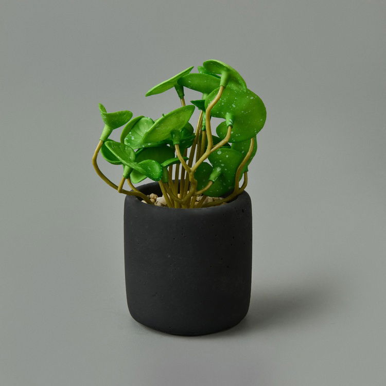  Objevi Mini Pot Soft Yaprak Saksılı Çiçek - Asorti - 8x6x6 cm