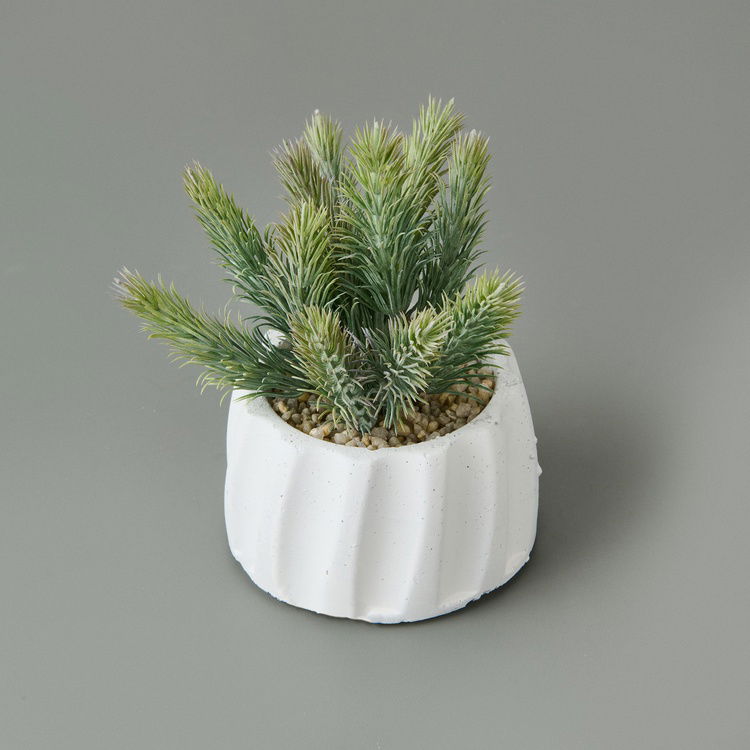  Objevi Beton Saksıda Real Touch Çam Yaprağı - Asorti - 25x10x10 cm