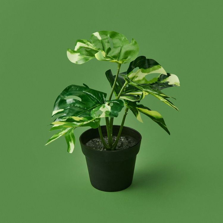  KPM Botta Çiçek - Asorti - 24 cm