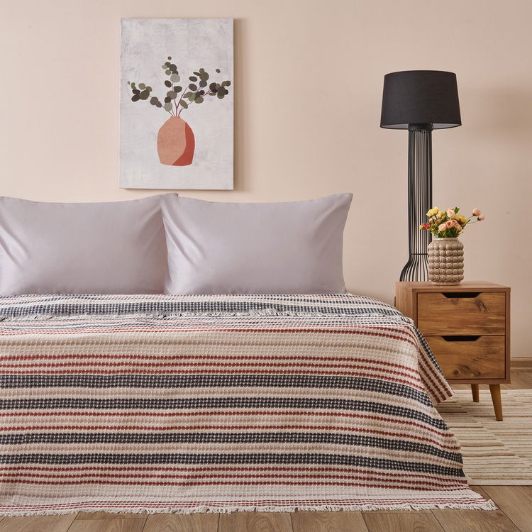  Evidea Soft Radiant Tek Kişilik Pike - Ekru / Lacivert - 160x230 cm