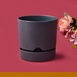  Poliwork Begonya Saksı - Antrasit - 950 ml
