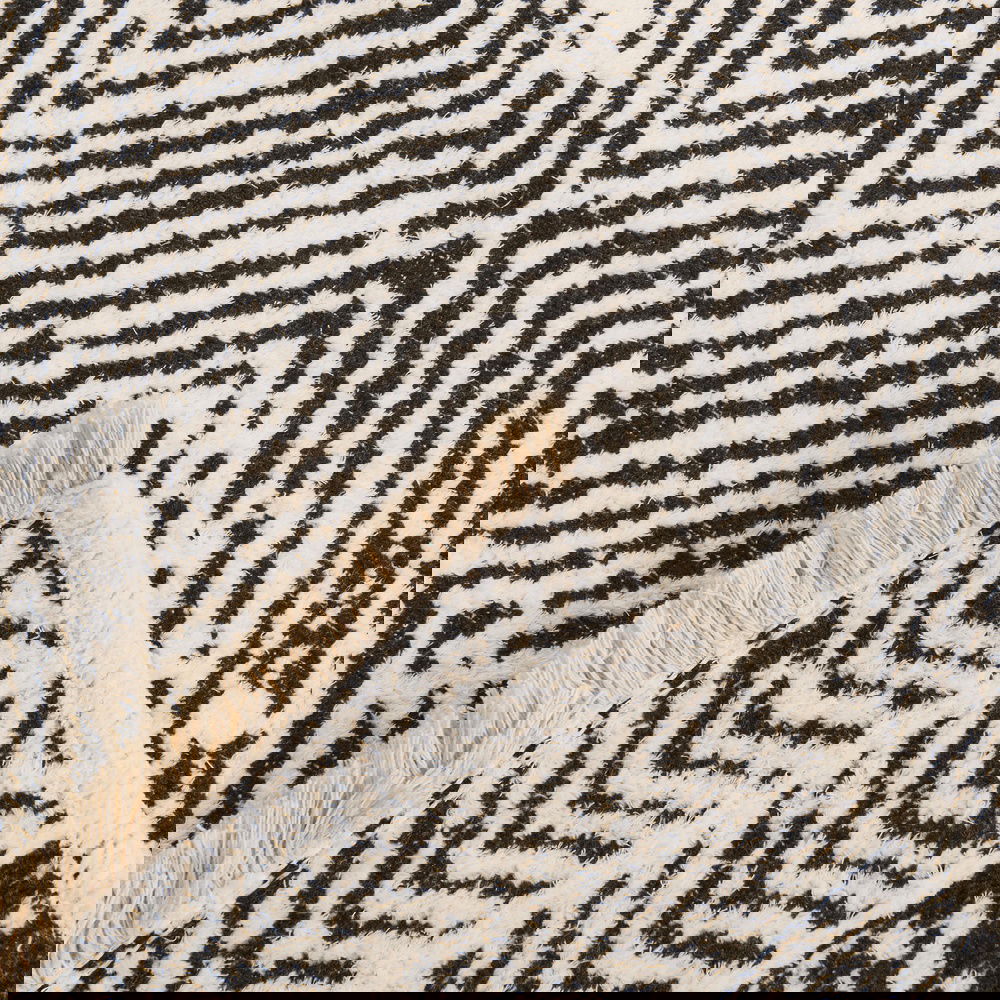  Evidea Soft Oad Halı - Siyah - 80x150 cm