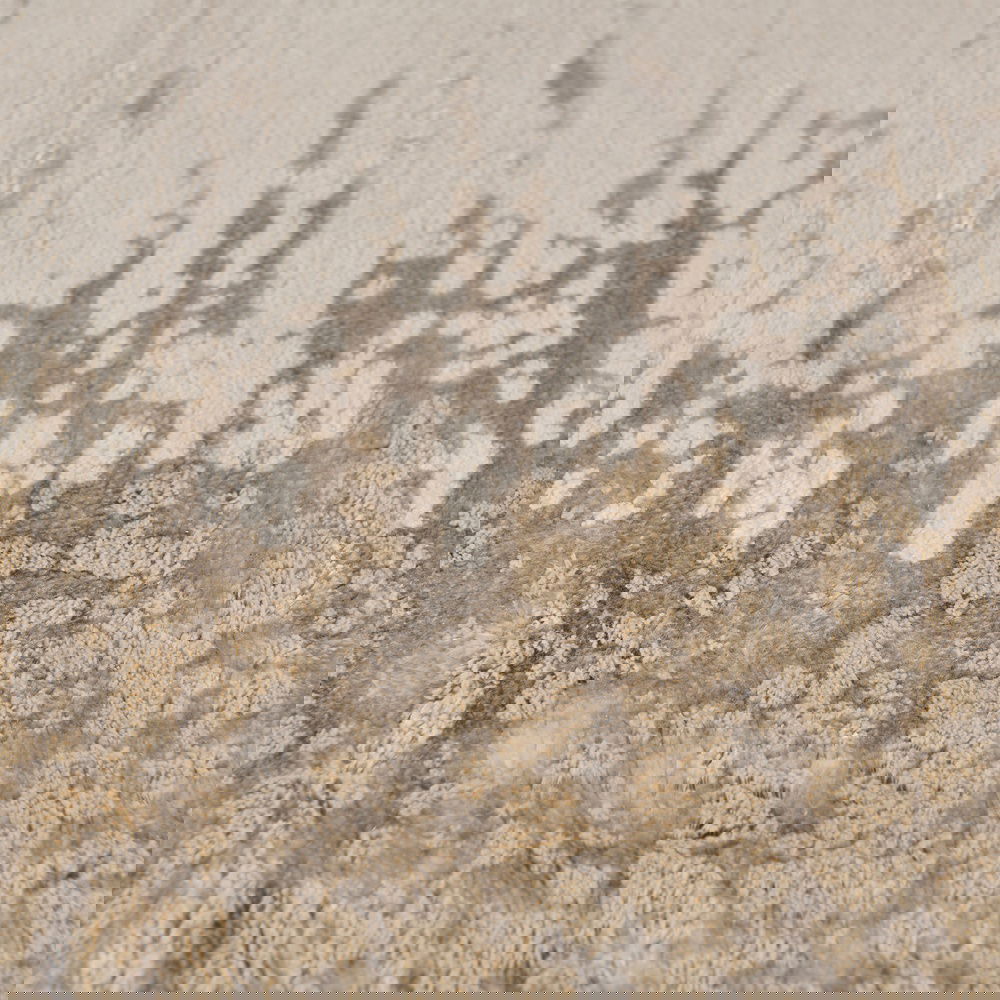  Evidea Soft Breeze Halı - Bej - 80x150 cm