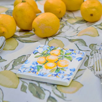 Evidea Kitchen Lime Bardak Altlığı - Renkli - 10 cm