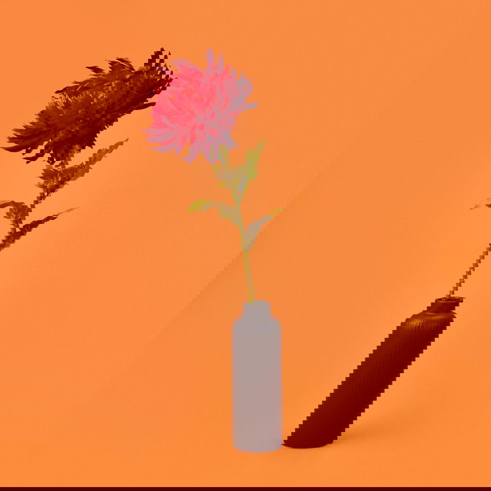  KPM Leaf Yapay Çiçek - Asorti - 80 cm