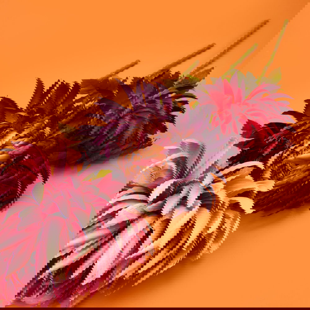  KPM Leaf Yapay Çiçek - Asorti - 80 cm