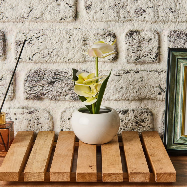  KPM Saksıda Ledli Orkide - Asorti - 25x9 cm