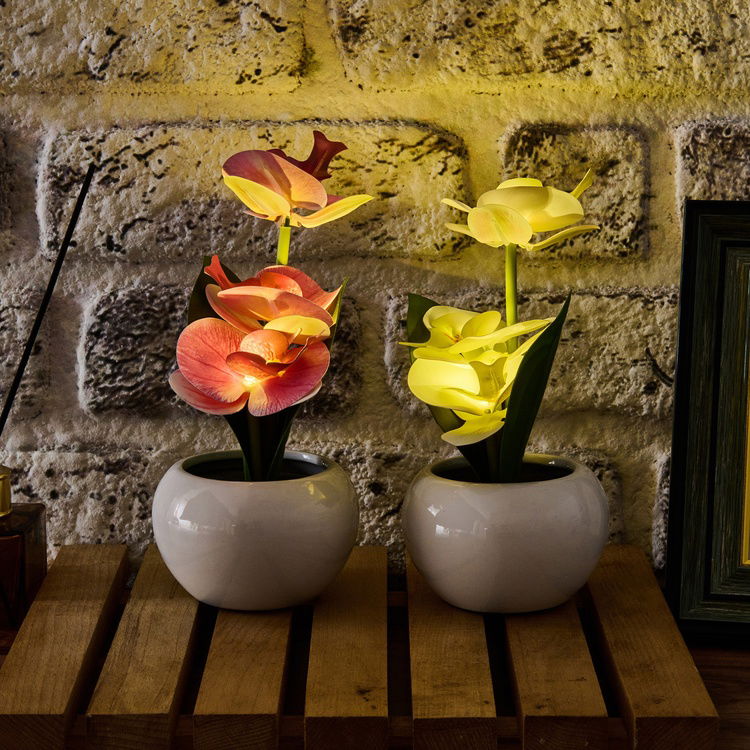  KPM Saksıda Ledli Orkide - Asorti - 25x9 cm