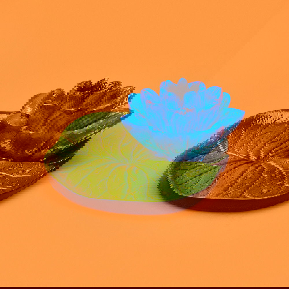  Evidea Deco Lotus Dekoratif Tabak - Mavi - 12 cm
